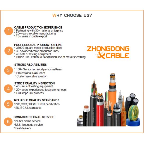 Tinned Copper Flexible Stranded Electrical Wire 2X12 AWG 2 Core Cable