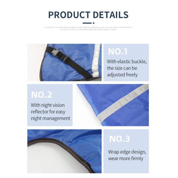 Waterproof Blue Oxford Cloth Calf Coat for 38-45KG Female Calves