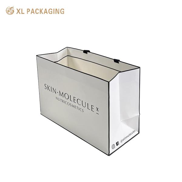 XL Packaging Custom Packaging Box Factory Wholesale Custom Pantone Color Disposable Hotel Using Paper Bag With Golden Strings Handle