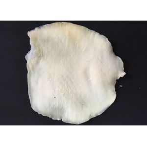 Buy cheap Seasoned Dried Squid from wholesalers