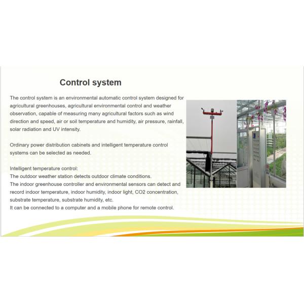 Commercial Multi Span Greenhouse Plastic Film Greenhouse For Vegetable Growing