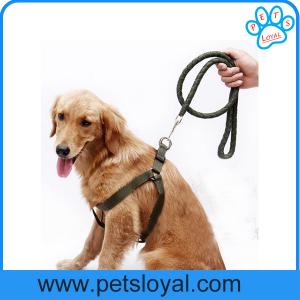 China Hot Selling Cheap Pet Dog Product Nylon Pet Dog Harness Leash China Factory wholesale
