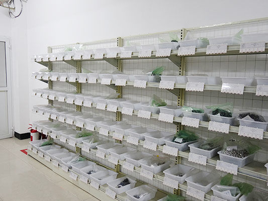 Camera Model Coreless 6x15mm Motor RoHS / ISO / TS16949 Certificated