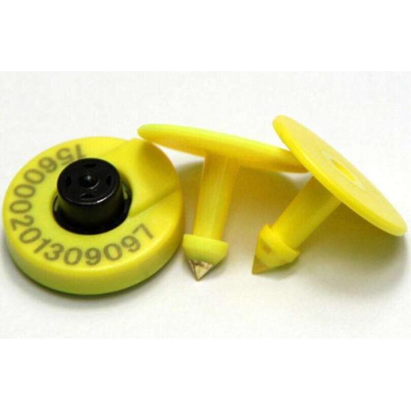 ODM LF RFID Application Animal Ear Tag Hdx Reusable Open Head With Laser Printing