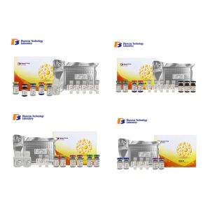 China 96 Wells / 48 Wells COL4A1 Mouse Sandwich ELISA Kit With High Sensitivity And Specificity wholesale