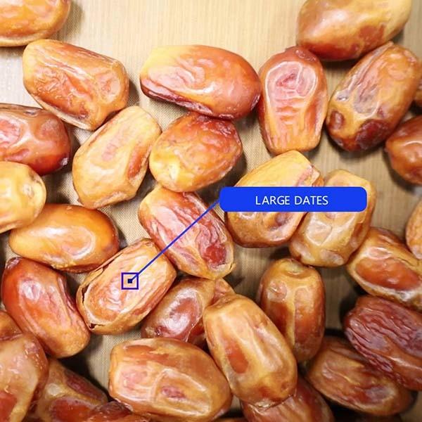 Quality 8-Lane Palm Dates Sorting Machine AI Deep Learning Size Sorting 2.0 Tons per Hour for sale