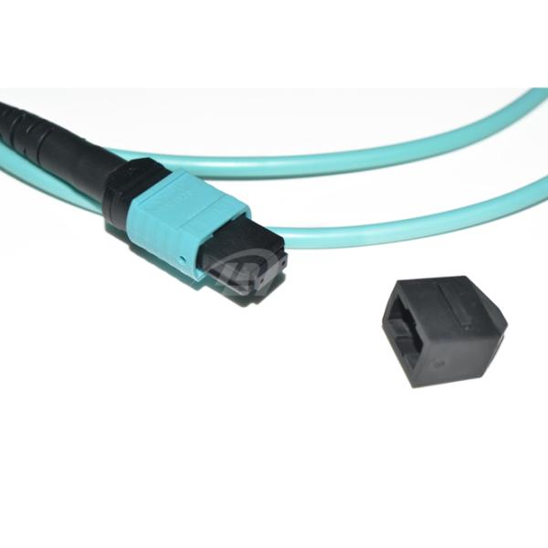 12 Fiber 40GbE, 40GBASE-SR4, OM3/OM4 Plenum Aqua MTP Jumper