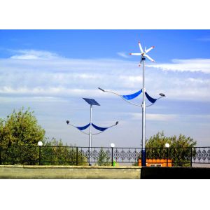 China 60w Solar And Wind Street Lights With Double Arm Lamp For Park Aera wholesale