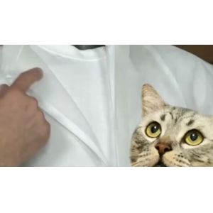 Buy cheap Disposable PP Coverall Single Layer Nonwoven Full Coverage Moderate Protection from wholesalers