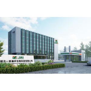 Hubei Yizhi Konjac Biotechnology Co., Ltd