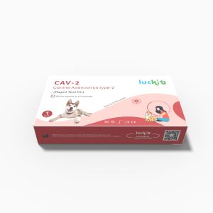 China 5-15 Minutes Canineadenovirus type 2 CAV-2 Pet Rapid Test Fast Reaction Rapid Class I wholesale