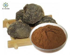 China Healthcare Grade Natural Black Maca Root Extract Powder wholesale