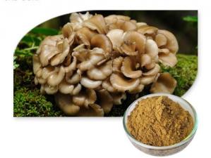 China Factory Supply maitake mushroom extract Powder 10:1 30%~50% Polysaccharides UV on sale