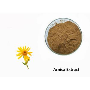 China Arnica Plant Extract Powder wholesale