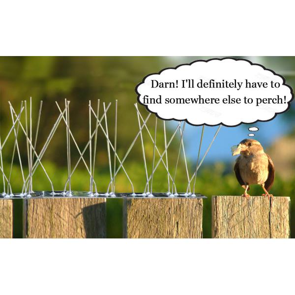 Bird Spikes for Pigeons Small Birds,Stainless Steel Bird Spikes -No More Bird Nests & Poop-Disassembled Spikes 10 Strips
