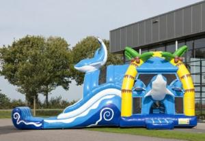 China 2 In 1 Dolphin Big Bouncy Castles Inflatable With Wacky Dual Slide For Amucement on sale