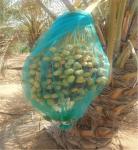 PE Date Palm Mesh Net Bag with Drawstrings