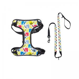 China Quick Snap Design Reflective Puppy Harness Soft Dog Harnesses With Leashes Set wholesale