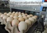 600DPI High Resolution Code Printing Machine , Batch Coding Machine For Eggs