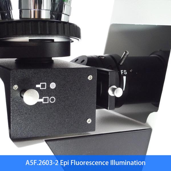 Inverted Fluorescence Led Digital Microscope