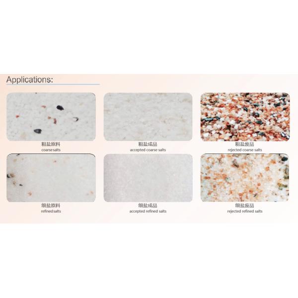 Sea Salt Processing Stainless Steel 5T/H Optical Color Sorter