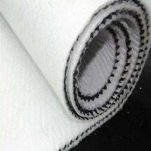 50m Length Modern Design Three-D Composite Drainage Geonet 6mm Thickness for