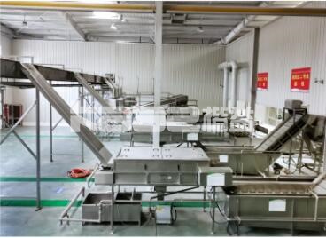 Fully Automatic Garlic Processing Line Slicer Powder Drying Processing Line