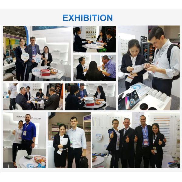 DDF 6u 9u Wall Mount Network Rack Cabinet , 19 Inch Server Rack Enclosure