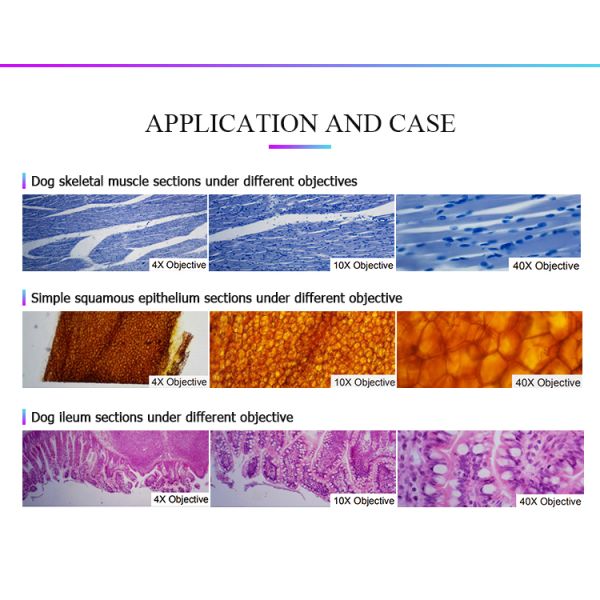 A59.4902 Usb Microscope Camera
