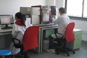 China System Development Laboratory Testing Services Custom Requirements wholesale