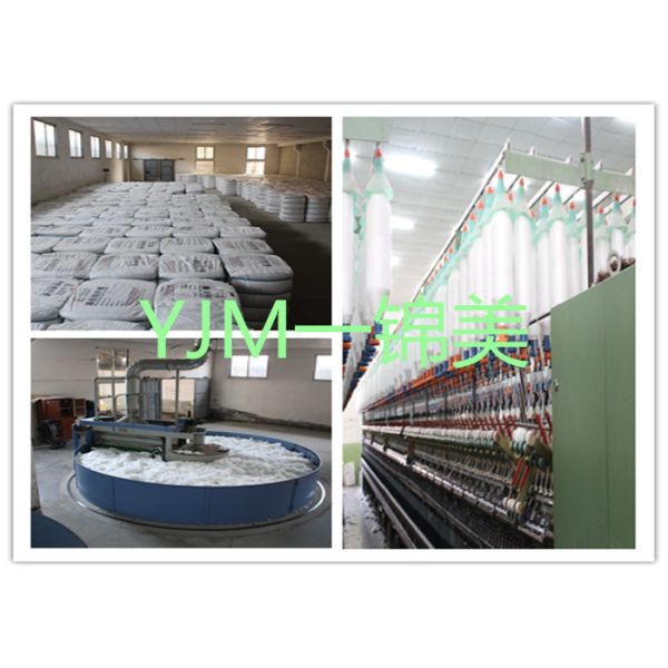 40S 50s 60s Ring Spinning 100 Polyester Yarn On Plastic Cone Or Paper Cone