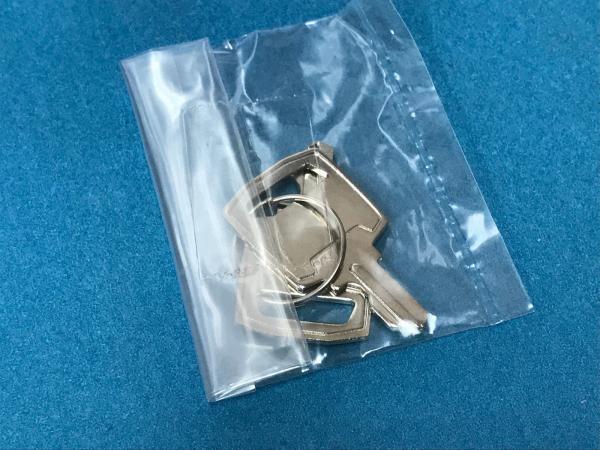 Quality 316N5001 Fuji Frontier Minilab Parts Door Key for sale