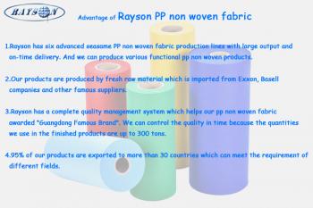 Foshan Rayson Non Woven Co.,Ltd