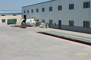 2024 years factory wholesale raw sunflower seeds