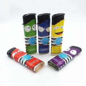 Various Label Cigar Lighter for UR Choice OEM Option and Disposable