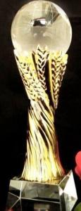 China Elegant Crystal Trophy on sale