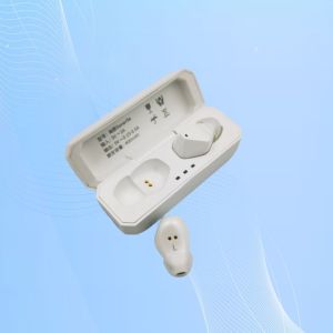 China Advanced Speech Enhancement Hearing Aid With Ultra Small Size wholesale