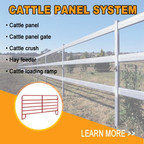 Cattle Panels System