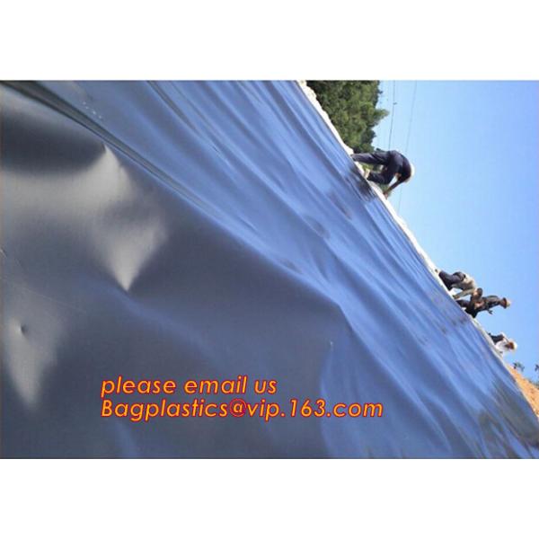 Polyester Needle Punched Nonwoven Geotextile Membrane price,Polyester Needle Punched Nonwoven Geotextile Membrane BAGEAS