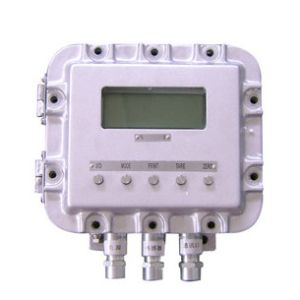 Explosion-proof weighing instrument LZXL-100XD.