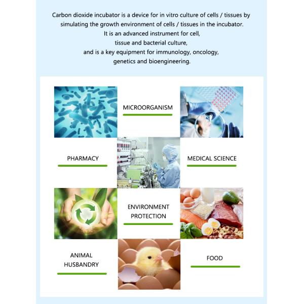 Natural Vaporization Carbon Dioxide Co2 Incubator SUS304