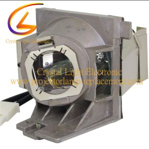 China 240W 5J.JGX05.001 BENQ Projector Bulb Replacement MH550 wholesale