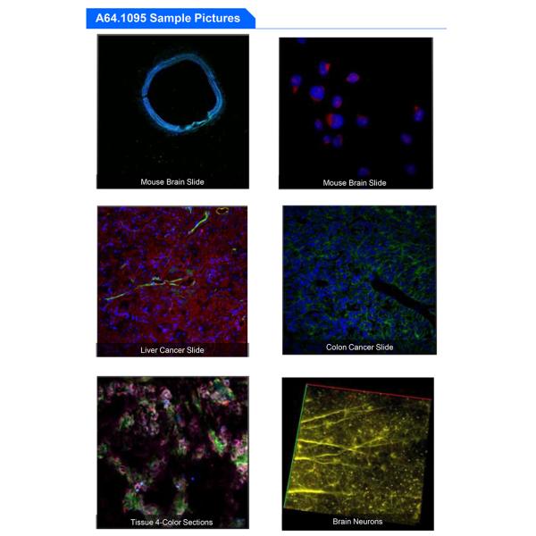 A64.1095 Opto Edu Laser Confocal Microscope Full Auto Motorized