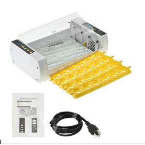 China Auto Hatcher Bird Egg Incubator LED Display Digital Temperature Control wholesale