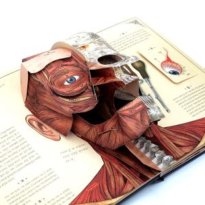 Custom Hardcover Cartoon Pop Up 3D Children Book Printing Service