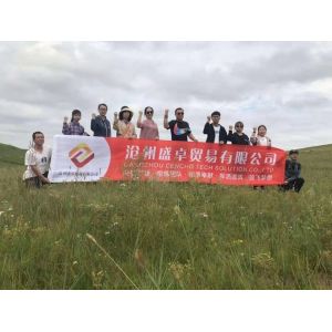 Cangzhou Cencho Tech Solution Co.,Ltd