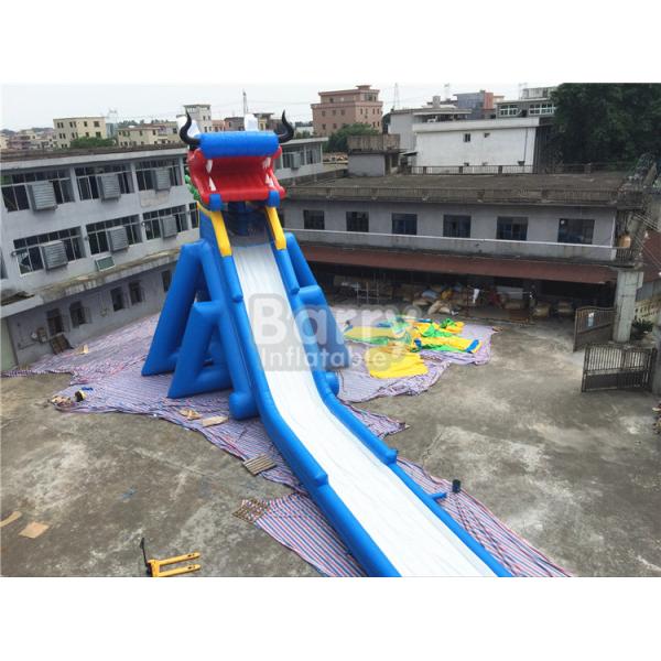 Adult Inflatable Water Slide