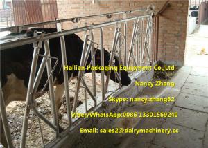 China Farm Customized Cow Headlock / Cattle Feeding Panels Hot Dip Galvanizing Pipe on sale
