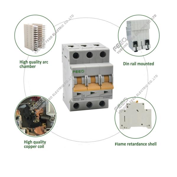 DIN Rail Mounted Dustproof IP20 63A Isolator Switch