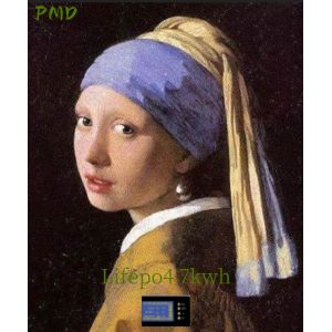 guangzhou pmd technology co ltd